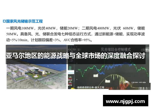 亚马尔地区的能源战略与全球市场的深度融合探讨
